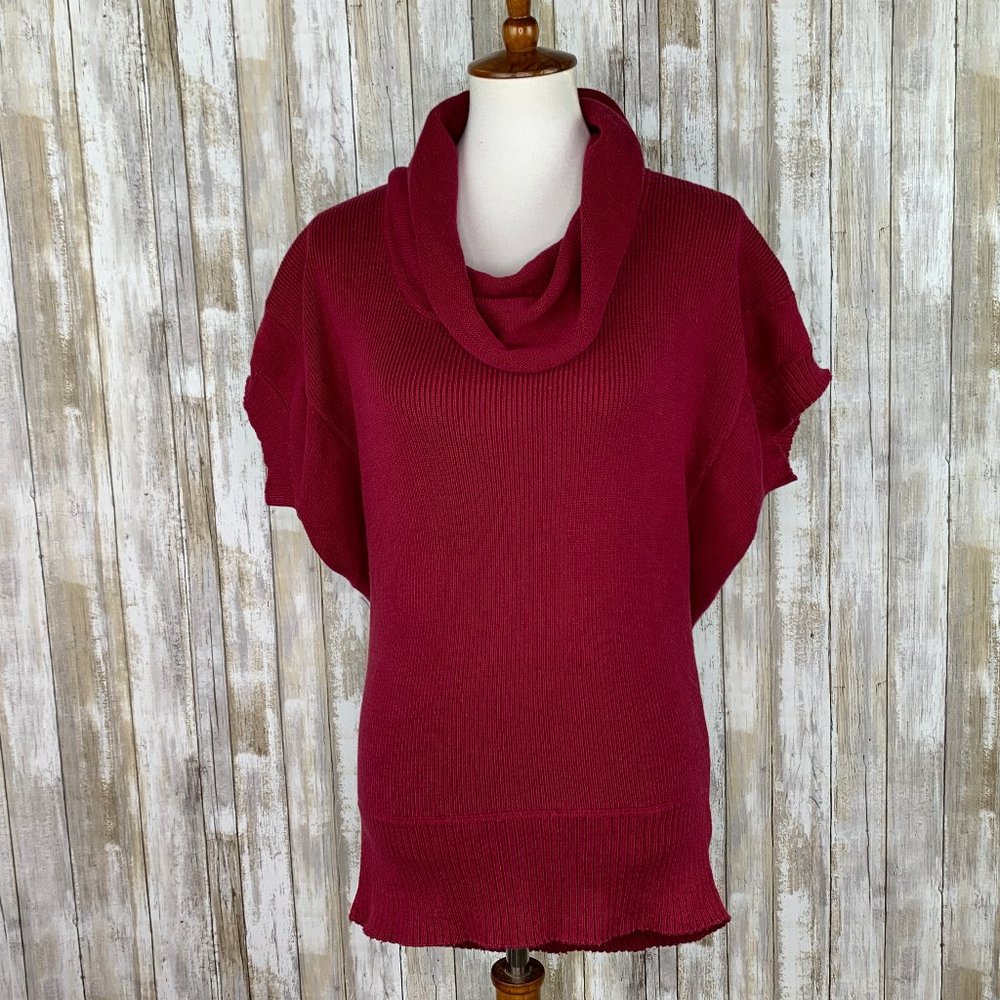 UO Silence & Noise Cowl Neck Short Sleeve Sweater